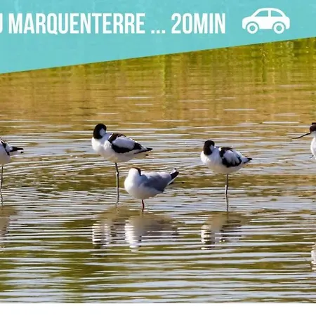 Daire Le Fleuri - Plain-pied - Spacieux - Calme