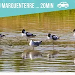 Apartment Experience Locale En Baie De Somme - Maison Cosy Noyelles-sur-Mer
