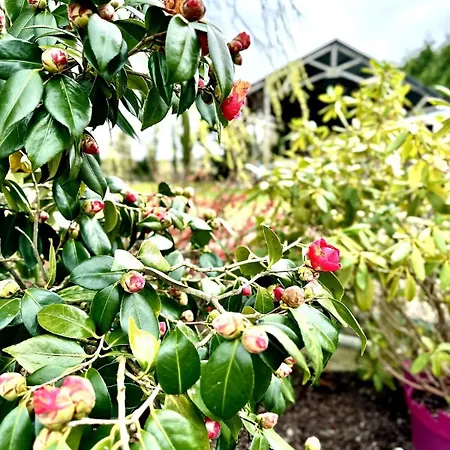 Le Fleuri-plain-pied-st Valery & Le Crotoy A 10min Апартаменты *